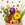 Fresh and organic vegetables buy online