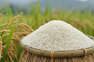 Buy Organic Rice Varieties Online