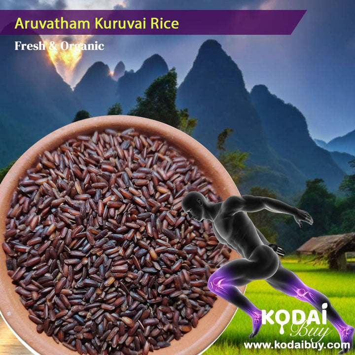 Arubatham Kuruvai Rice, Aruvatham Kuruvai, Arubatham Kuruvai | KodaiBuy