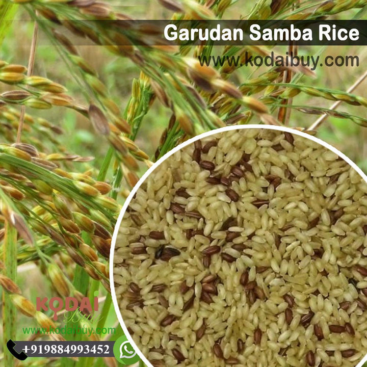 Garudan Samba Rice, Kaadai Kazhuththaan Organic Rice - கருடன்சம்பா அரிசி | KodaiBuy