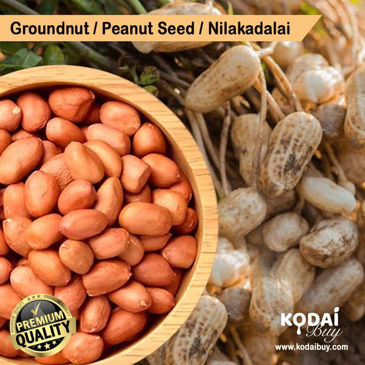 Groundnut, Peanut Seeds, Verkadalai, Organic Groundnut Seed | KodaiBuy