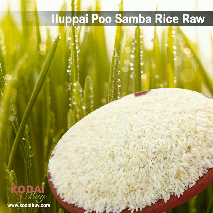 Iluppai Poo Samba Rice Raw, Iluppai Poo Samba Arisi | KodaiBuy