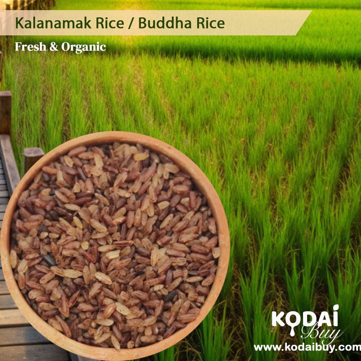 Kalanamak Rice, Buddha Rice, Kala Rice, Kala Jeera Rice | KodaiBuy