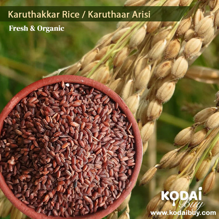 Karuthakkar Rice, Karuthakkar Arisi, Organic Karuthakkar Rice | KodaiBuy