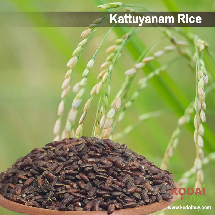 Kattuyanam Rice