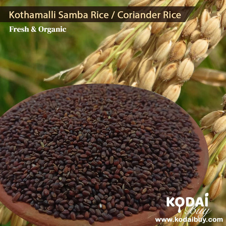 Kothamalli Samba Rice, Coriander Rice, Mint Coriander Rice | KodaiBuy