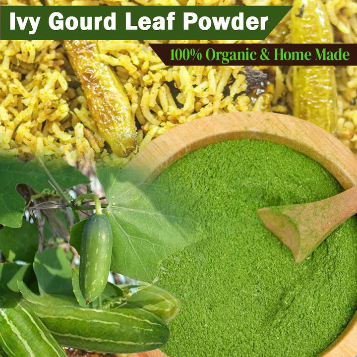 Ivy Gourd Leaf Powder, kovakkai leaf powder | KodaiBuy