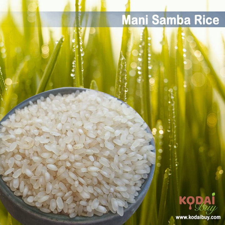 Mani Samba Rice, Organic Mani Samba Rice | KodaiBuy