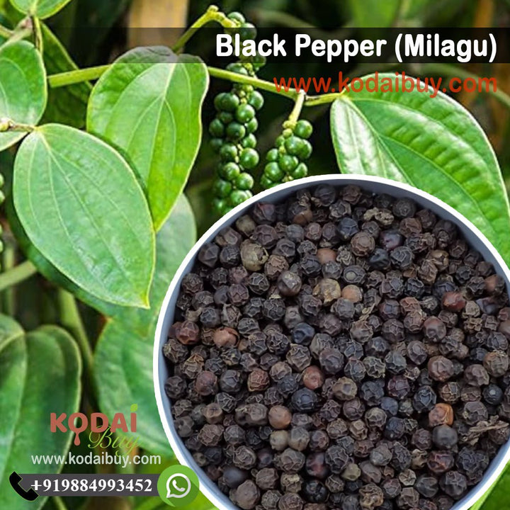 Pepper, Organic Black Pepper, Fresh Pepper | KodaiBuy