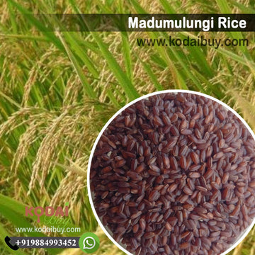 Madumulungi Rice, Organic Madumulungi Rice - மடுமுழுங்கி  அரிசி | KodaiBuy