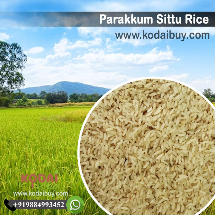 Parakkum Sittu Rice, Seeraga Samba Rice - பறக்கும் சிட்டு அரிசி | KodaiBuy