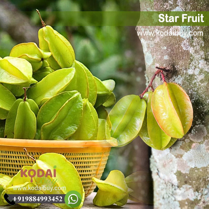 Star Fruits, Star Apple, Carambola Fruit, Star Cherry | KodaiBuy