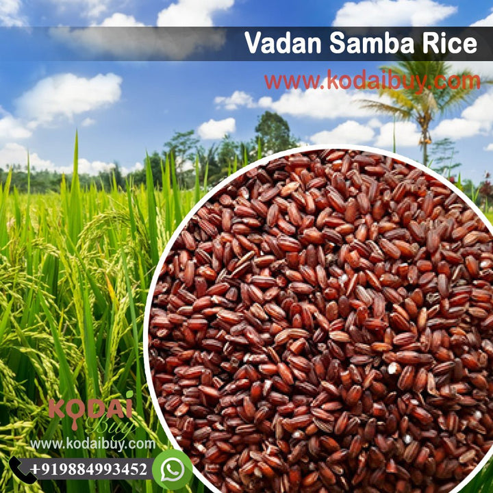 vadan samba rice, Organic vadan samba rice -வாடன் சம்பா | KodaiBuy