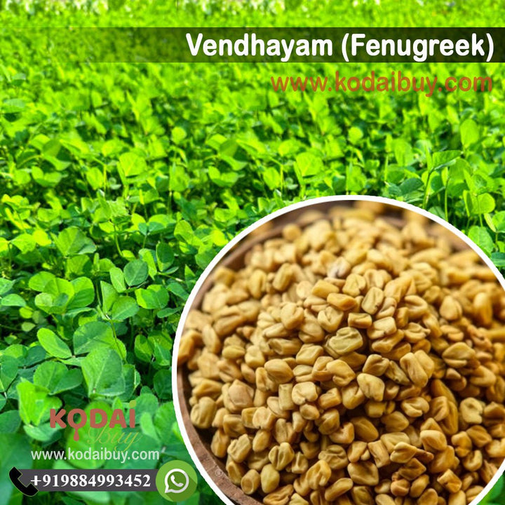 Fenugreek, Vendhayam, Organic Dill, | KodaiBuy