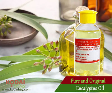 Eucalyptus oil, Kodaikanal original eucalyptus oil | KodaiBuy