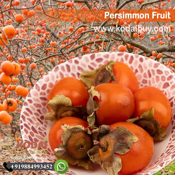 Persimmon Fruits, American Persimmon, Asian Persimmon | KodaiBuy