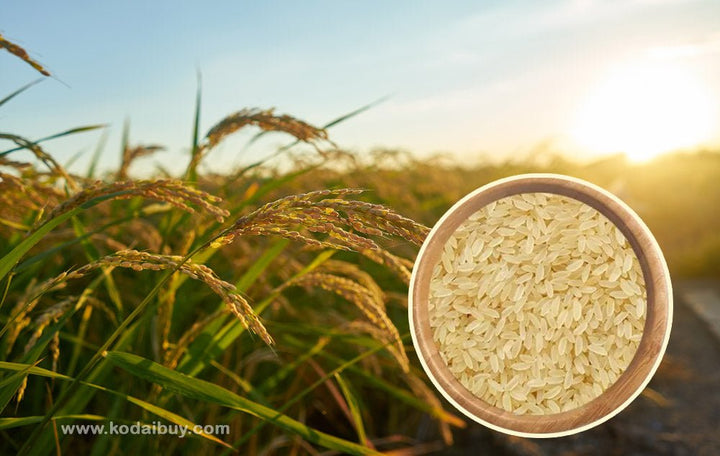 Organic ponni boiled rice