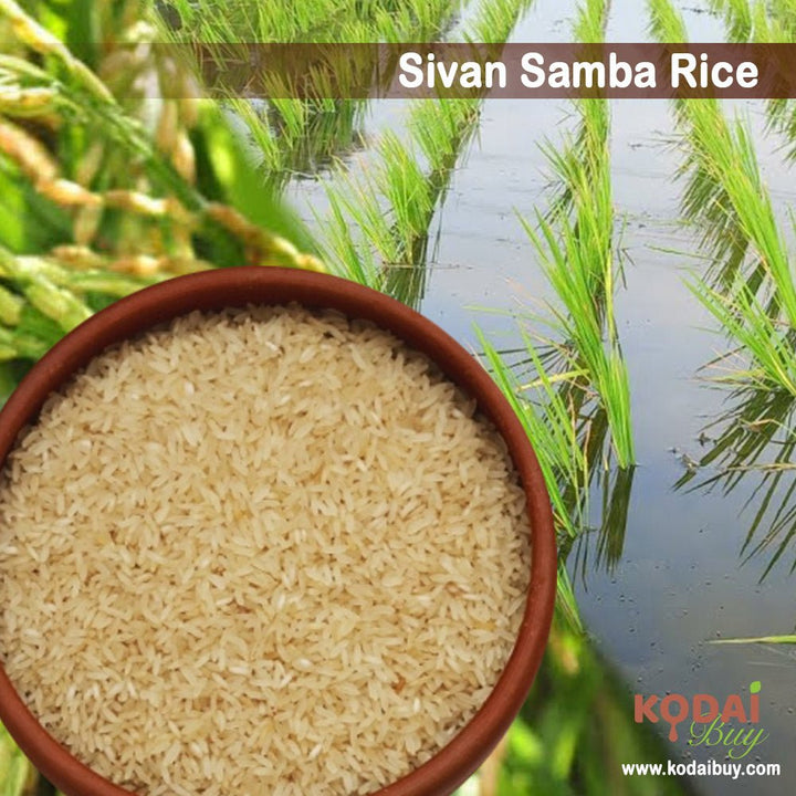 Organic sivan samba rice