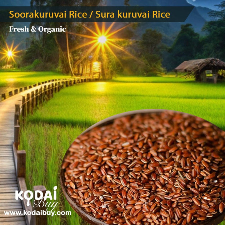 Organic soorakuruvai rice