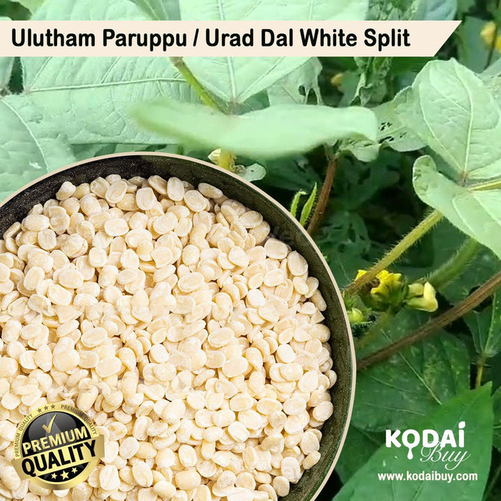 Organic urad dal white split