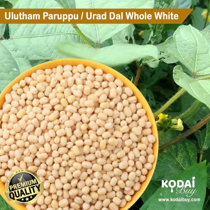 Urad dal whole peeled