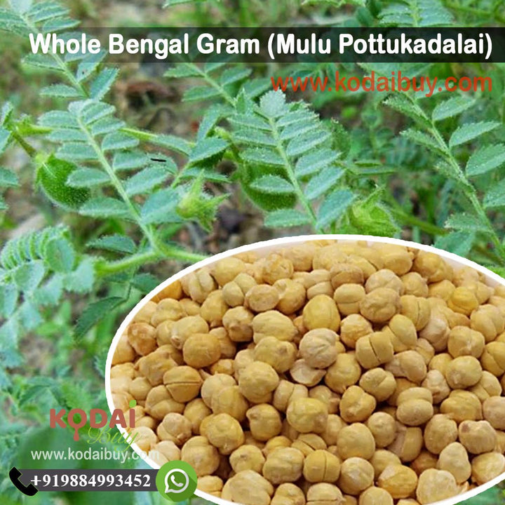 Whole Bengal Gram, Mulu Pottukadalai | KodaiBuy